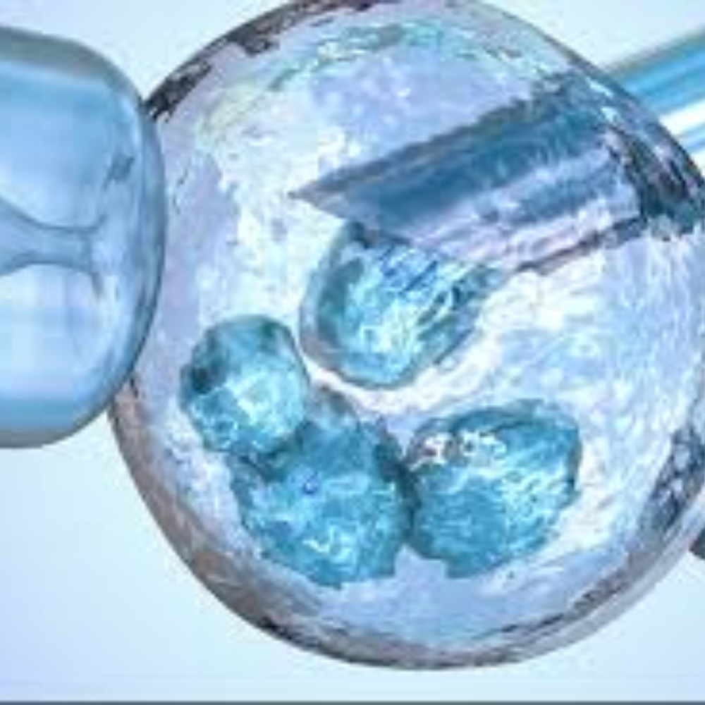 Genetic Testing (PGT / PGD)