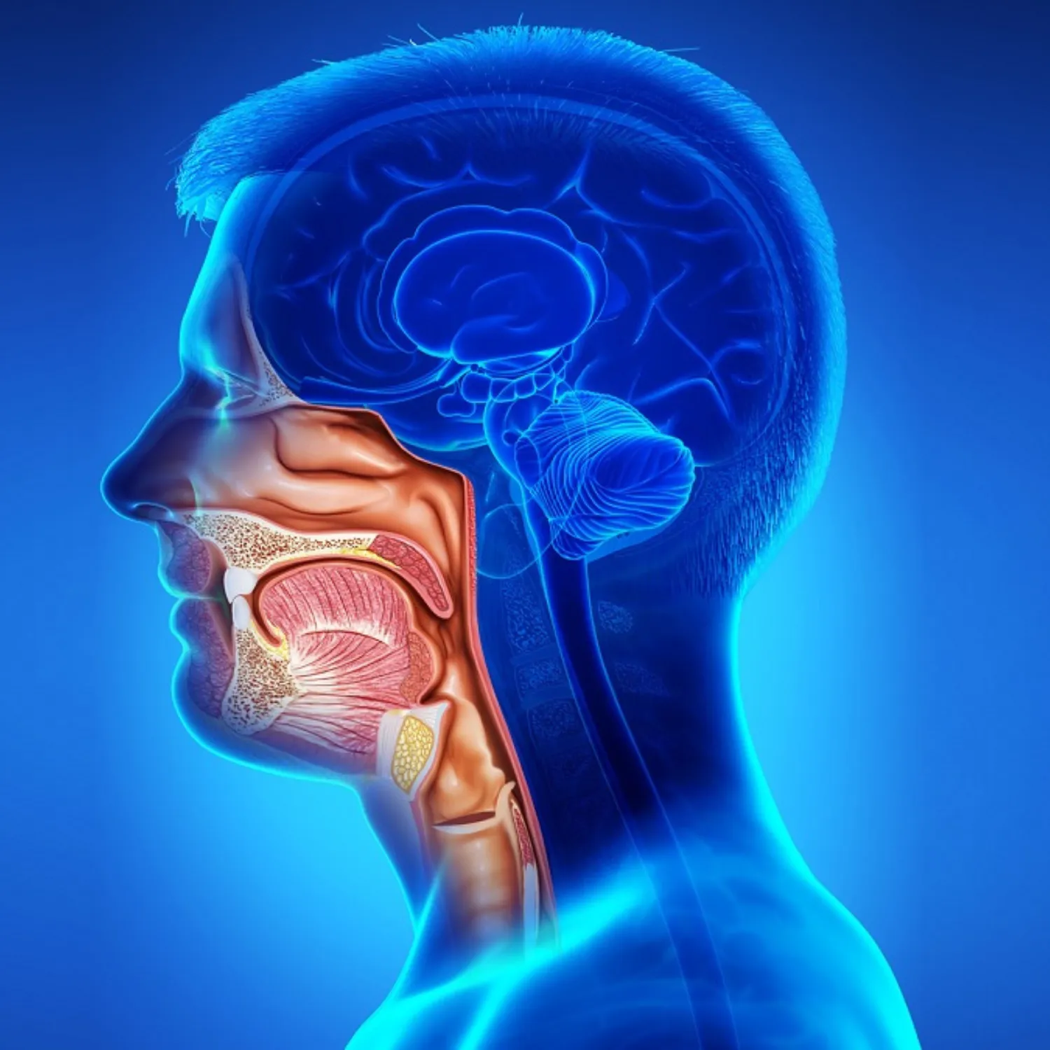 Head and Neck Cancer Treatment